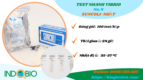 Test suncoli No.4
